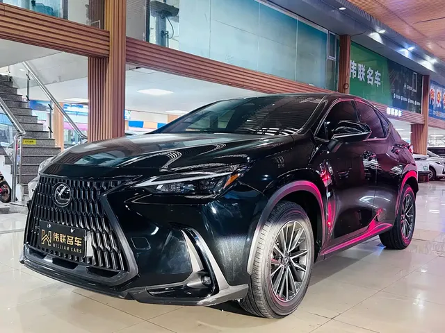 Lexus NX 2023 260 FWD Joy Creation Edition