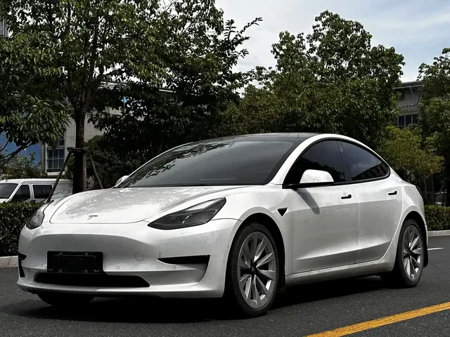 Tesla Model 3 2021 Facelift Standard Range RWD Upgrade 3D1
