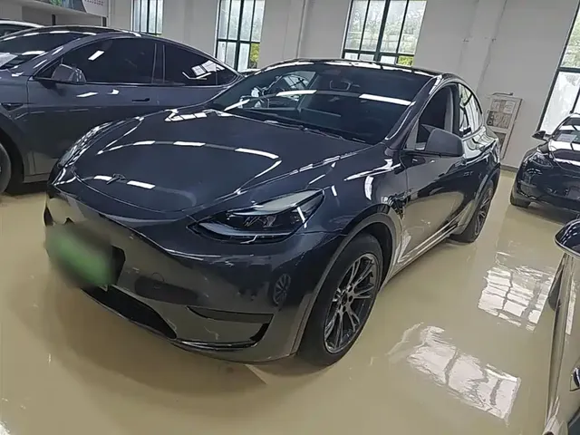 Tesla Model Y 2024 Rear-Wheel Drive Version