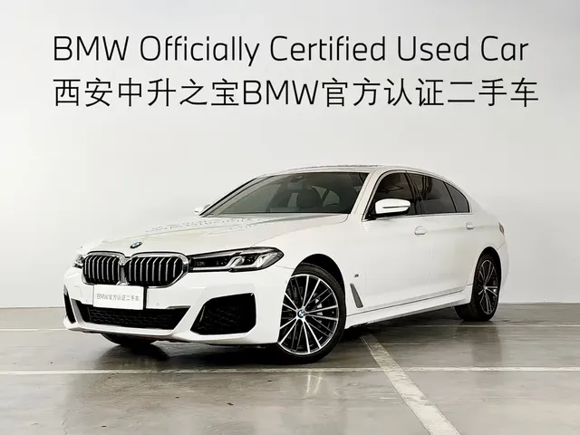 BMW 5 Series 2021 530Li Leading M Sport Package