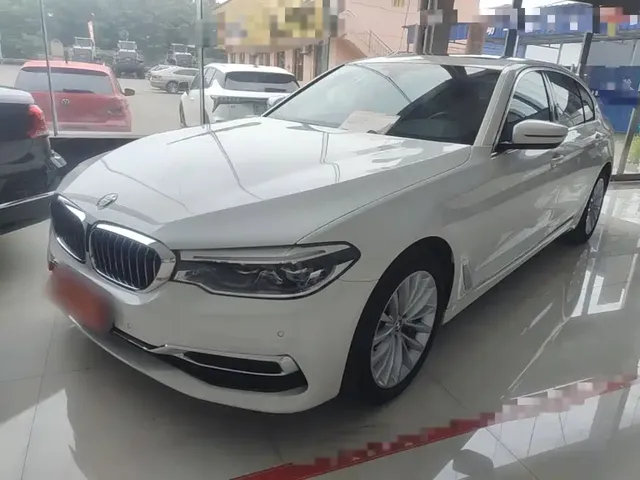 BMW 5 Series 2020 530Li Leading Luxury Package