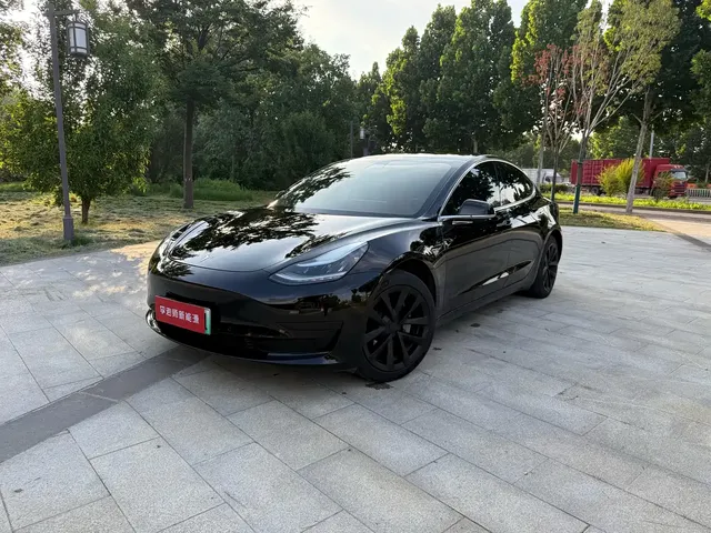Tesla Model 3 2020 Standard Range Rear-Wheel Drive Upgrade