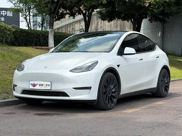 Tesla Model Y 2022 Performance High-Performance All-Wheel Drive Version