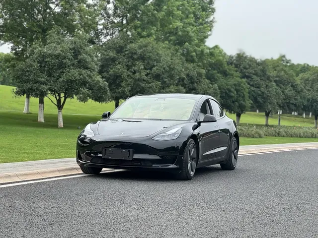 Tesla Model 3 2021 Facelift Standard Range RWD Upgrade 3D1
