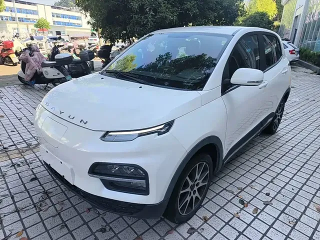 Dayun Yuehu 2021 32.85kWh 2WD Elf Edition