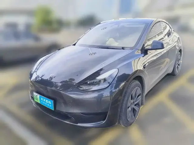 Tesla Model Y 2024 Rear-Wheel Drive Version