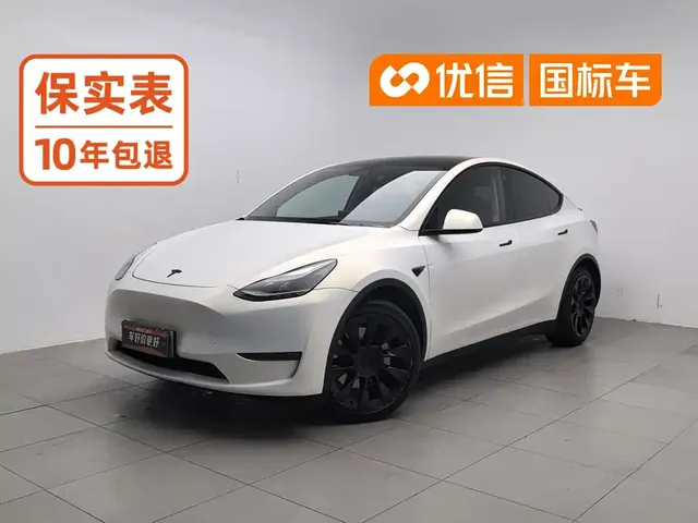 Tesla Model Y 2021 Standard Range Rear-Wheel Drive