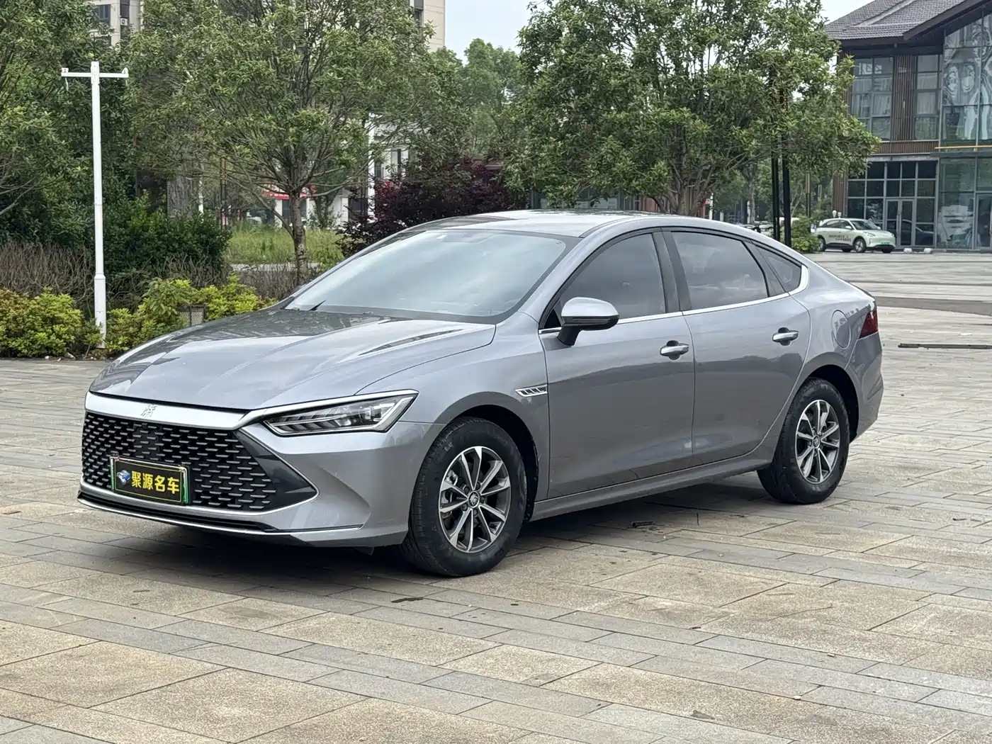 BYD Qin PLUS 2023 Champion Edition DM-i 55KM Leading