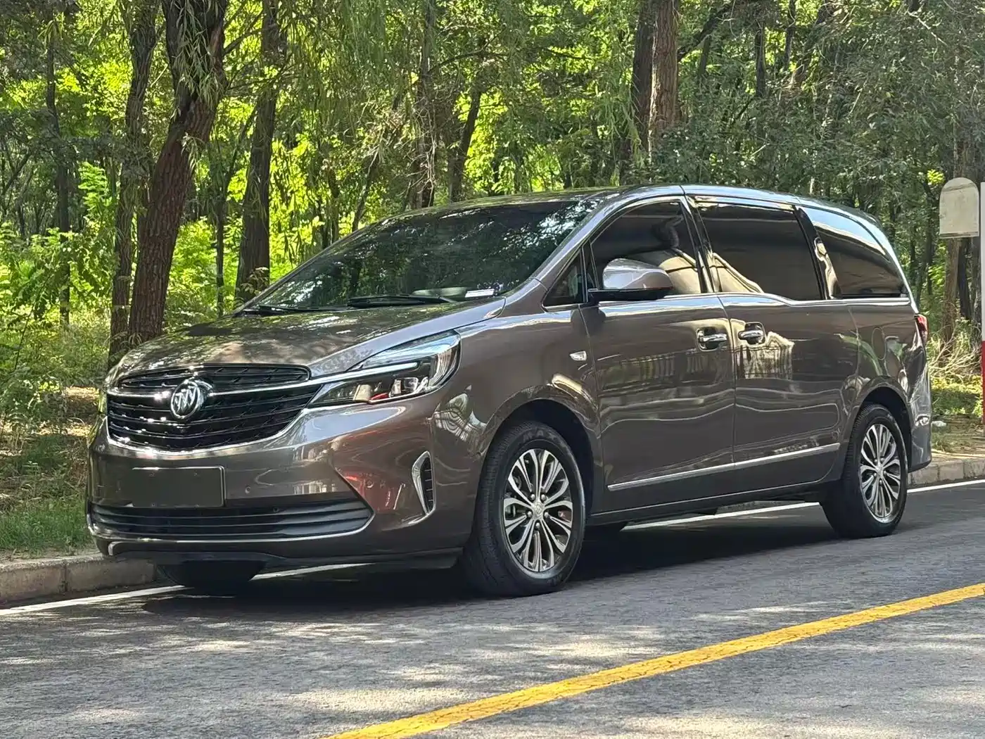Buick GL8 2021 Land Business Class 652T Premium