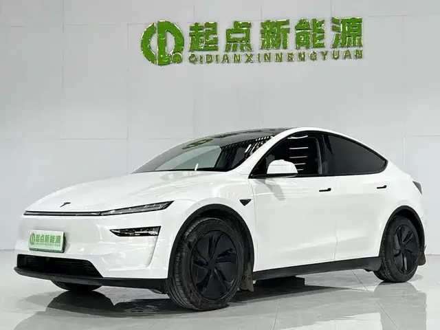 Tesla Model Y 2025 Long Range All-Wheel Drive
