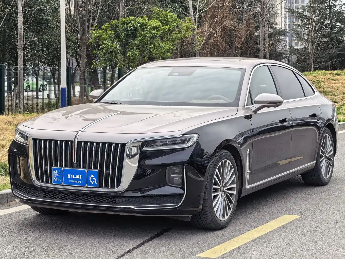 Hongqi H9 2022 2.0T Smart Connect Flag Enjoy Edition