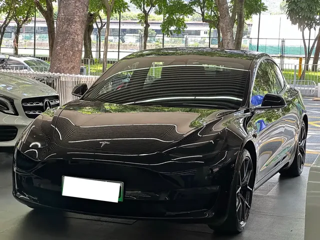 Tesla Model 3 (Import) 2019 Performance High-Efficiency All-Wheel Drive Version