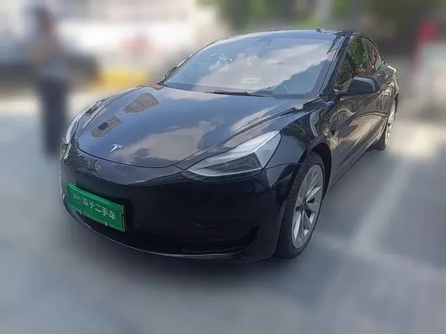 Tesla Model 3 2022 Model Rear-Wheel Drive Version