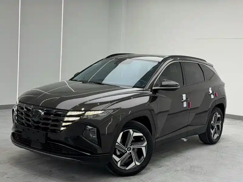 Hyundai Tucson 2021 Tucson L 1.5T DCT LUX Premium