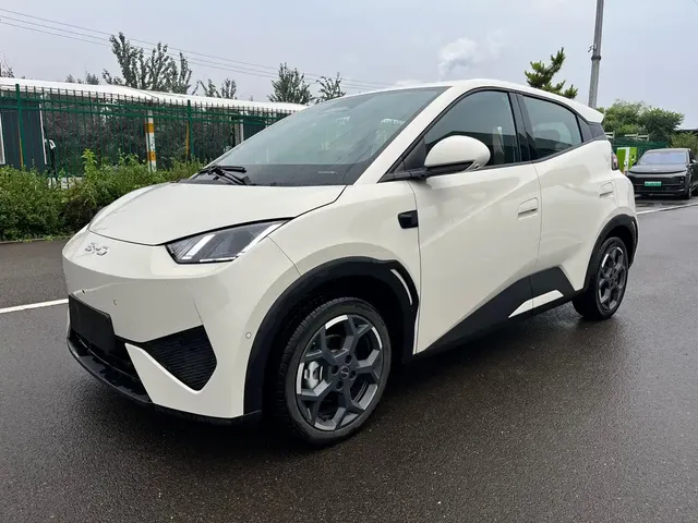 BYD Seagull 2025 Smart Driving Edition 405km Flying Edition