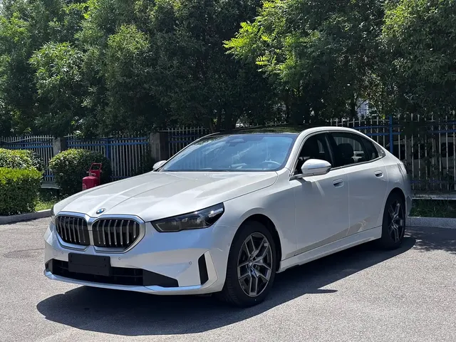 BMW 5 Series 2024 530Li Leading Model Luxury Package