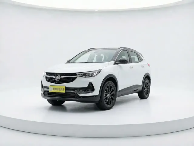 Buick Encore 2020 20T CVT Luxury Edition