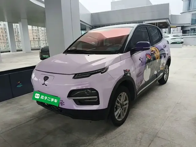 Dayun Yuehu 2022 300 Standard