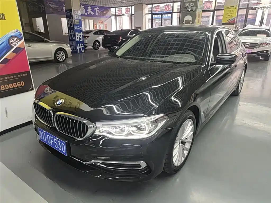 BMW 5 Series 2020 530Li Leading M Sport Package