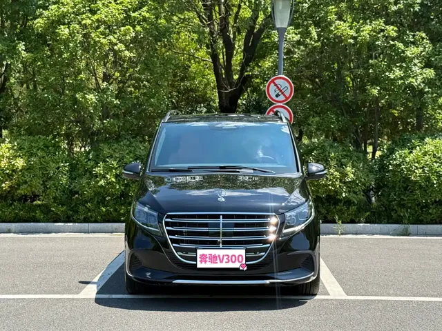 Mercedes-Benz V-Class 2024 V 300 Pilot Edition