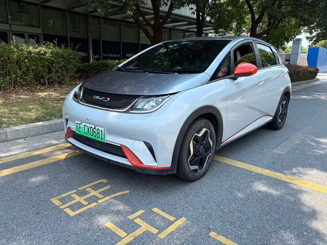 BYD Dolphin 2021 Model 405km Fashion Edition