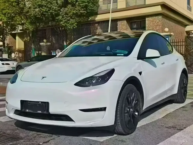 Tesla Model Y 2021 Standard Range Rear-Wheel Drive