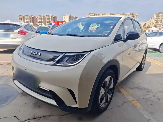 BYD Dolphin 2025 420km Freedom Edition