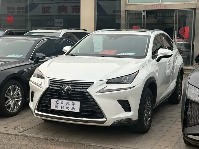 Lexus NX 2020 200 AWD F Sport China V