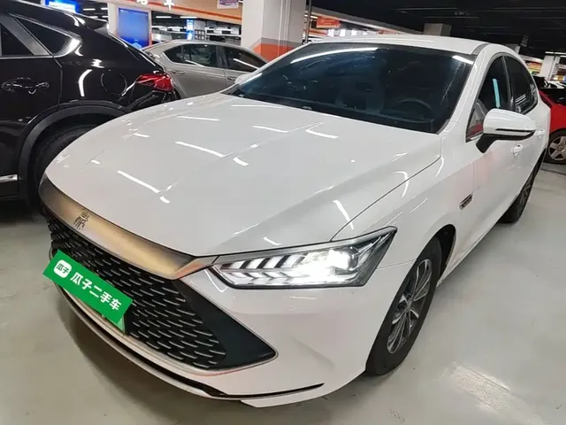 BYD Qin PLUS 2024 Glory Edition DM-i 55KM Leading
