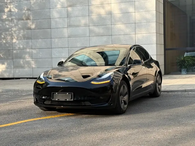 Tesla Model 3 2020 Standard Range Rear-Wheel Drive Upgrade