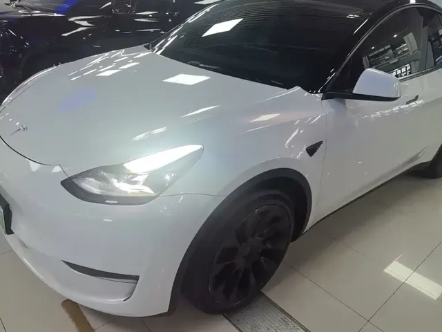 Tesla Model Y 2021 Standard Range Rear-Wheel Drive