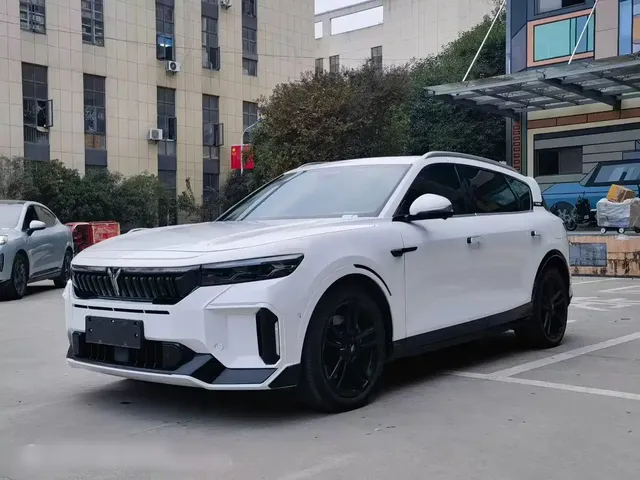 Voyah Auto VOYAH FREE 2024 Ultra Long Range Intelligent Driving Edition
