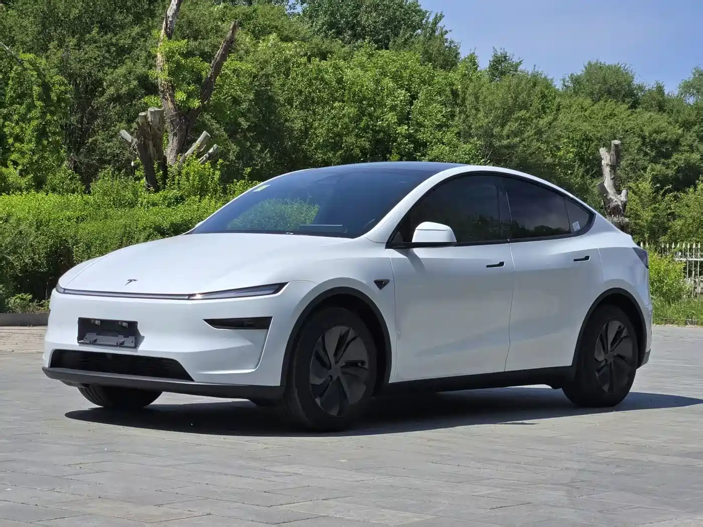 Tesla Model Y 2026 Rear-Wheel Drive
