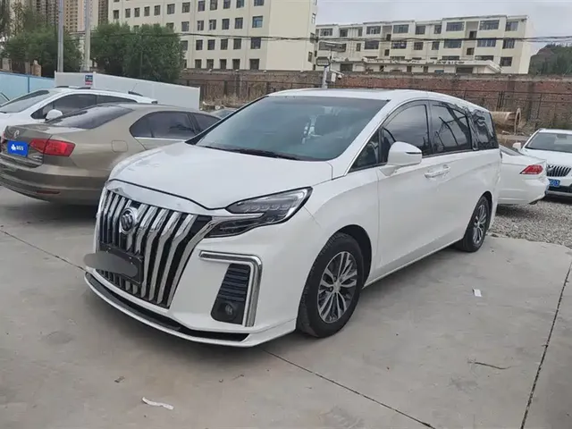 Buick GL8 2022 ES Landmark 653T Premium