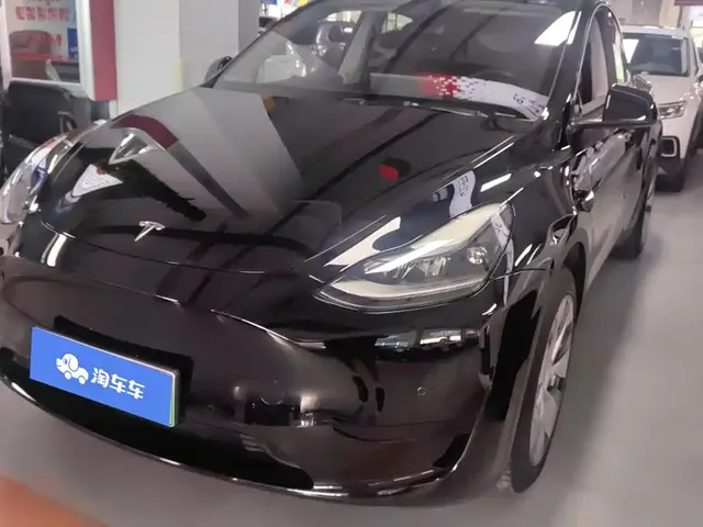 Tesla Model Y 2022 Rear-Wheel Drive Version