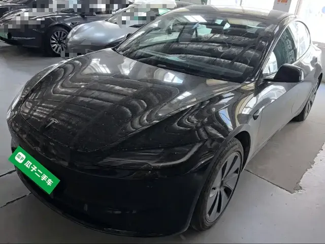 Tesla Model 3 2025 Model Rear-Wheel Drive Edition