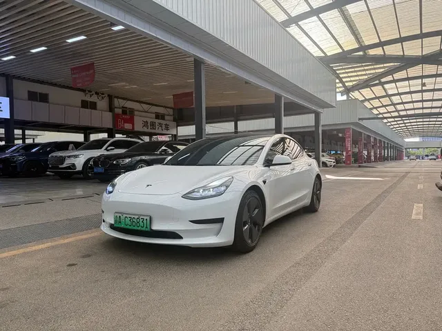 Tesla Model 3 2021 Standard Range Rear-Wheel Drive Upgrade 3D6