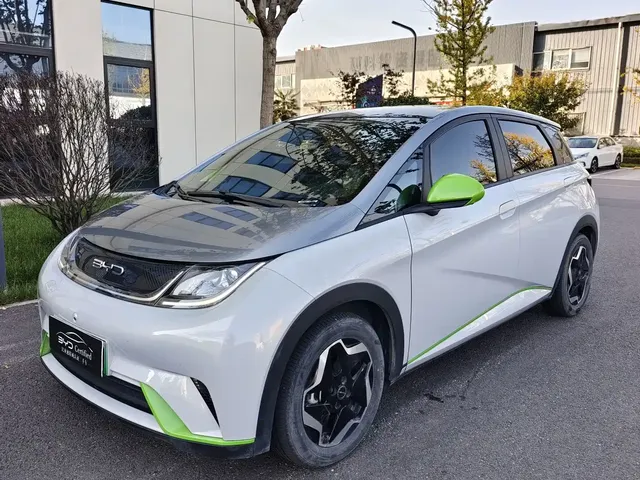 BYD Dolphin 2021 Model 405km Fashion Edition