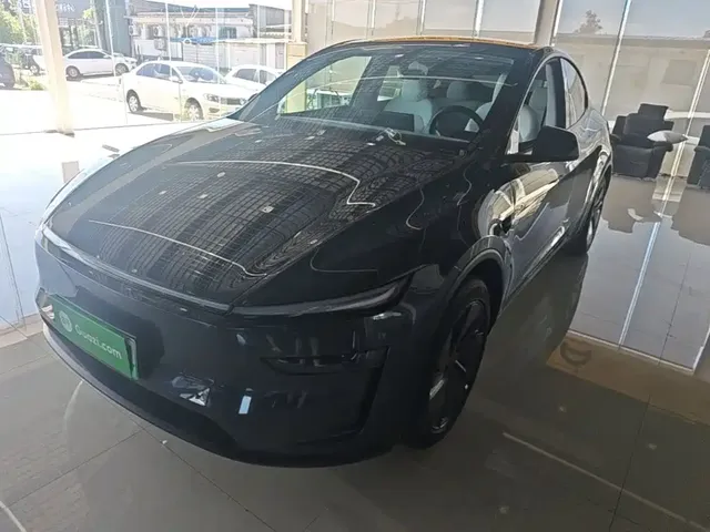 Tesla Model Y 2025 Model Long Range All-Wheel Drive Launch Edition