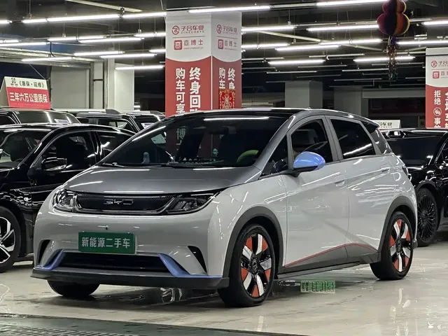 BYD Dolphin 2021 401km Knight Edition