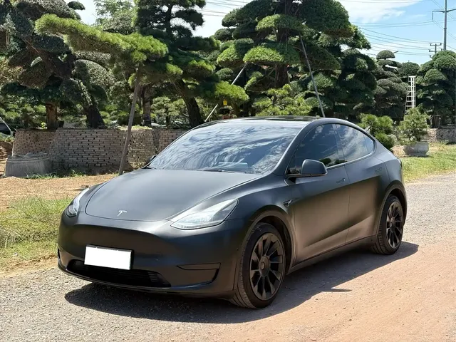 Tesla Model Y 2021 Standard Range Rear-Wheel Drive