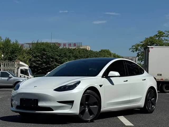 Tesla Model 3 2022 Model Rear-Wheel Drive Version