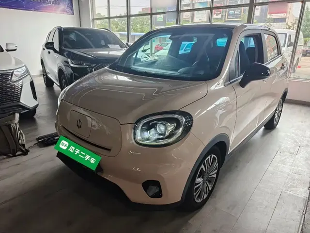 Leapmotor T03 2021 400 Luxury Pro Version