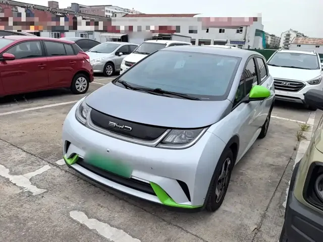 BYD Dolphin 2021 405km Freedom Edition