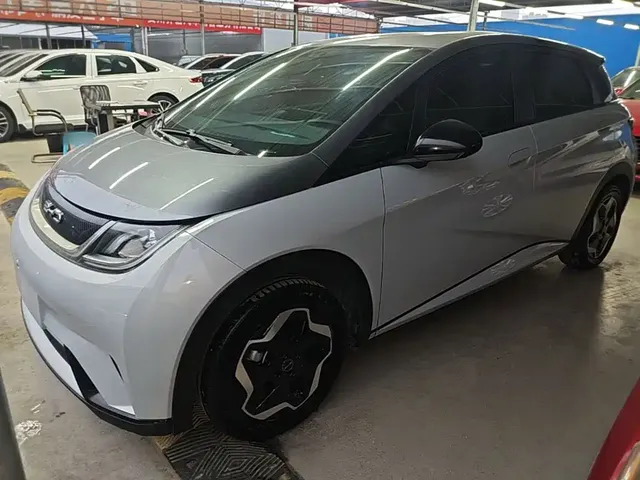 BYD Dolphin 2021 405km Freedom Edition