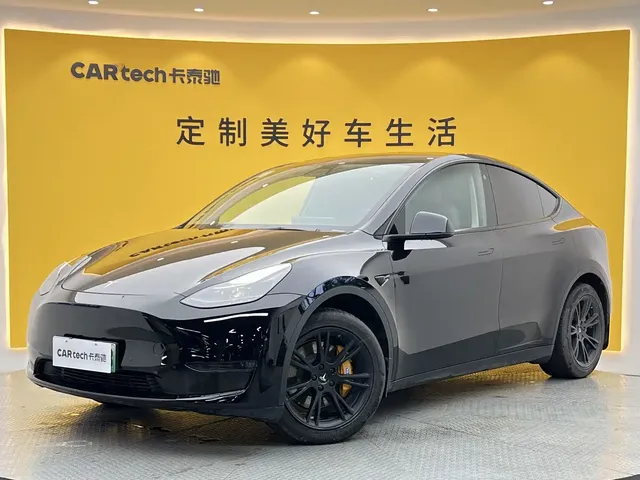 Tesla Model Y 2021 Standard Range Rear-Wheel Drive