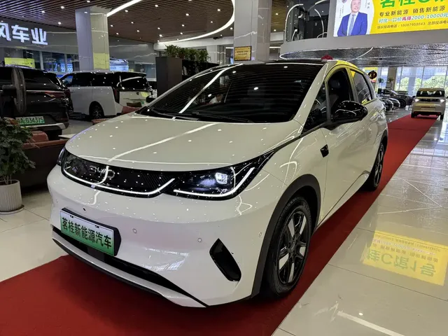 BYD Dolphin 2025 Smart Drive Edition 410km Fashion Version