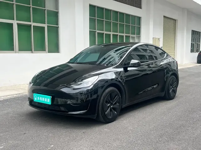 Tesla Model Y 2022 Rear-Wheel Drive Version