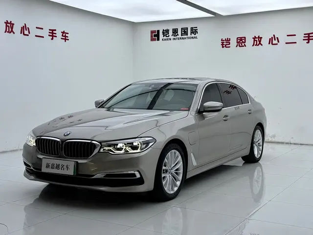 BMW 5 Series New Energy 2019 Facelift 530Le Luxury Package