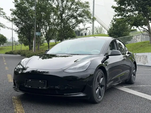 Tesla Model 3 2021 Standard Range Rear-Wheel Drive Upgrade